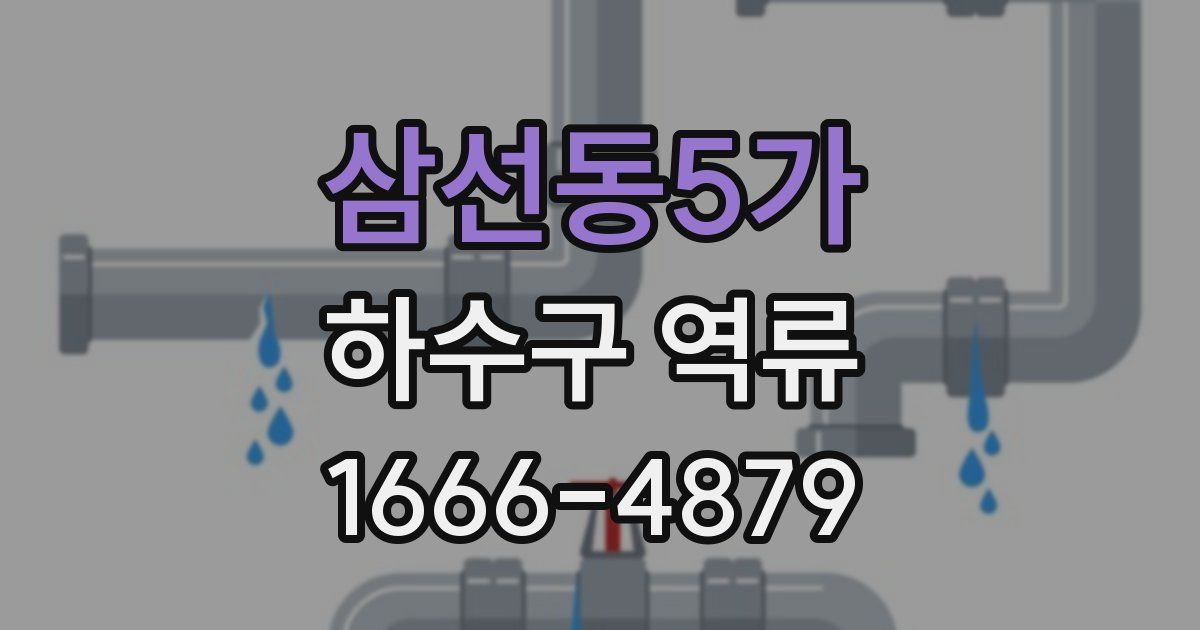 삼선동5가 하수구 역류