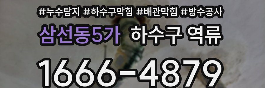 삼선동5가 하수구 역류