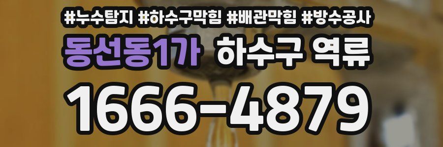 동선동1가 하수구 역류