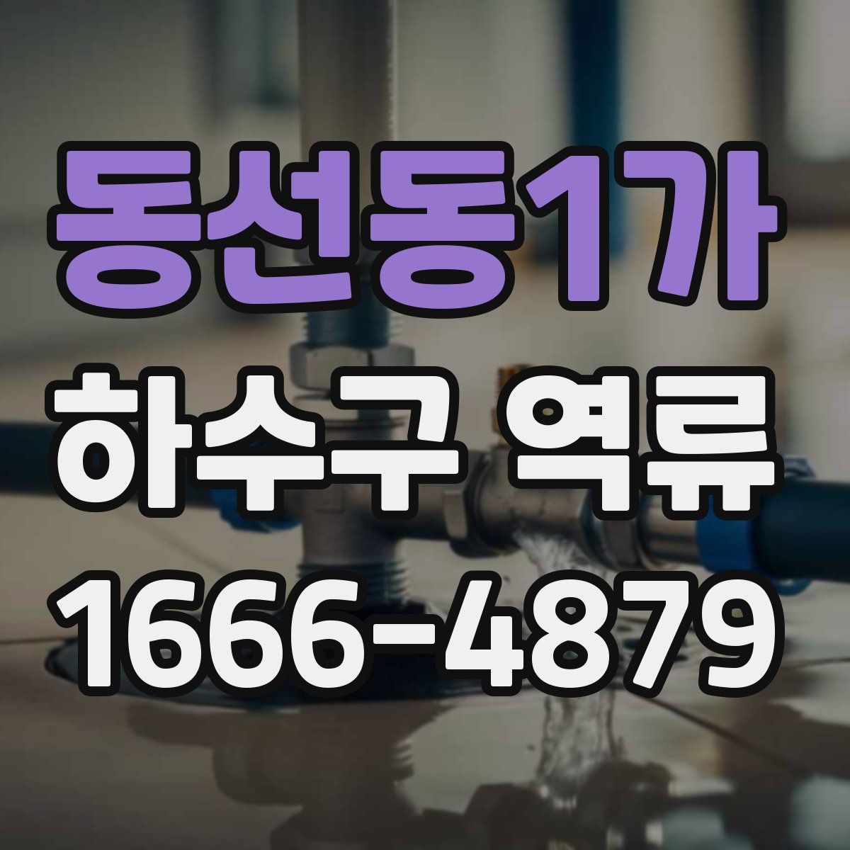 동선동1가 하수구 역류