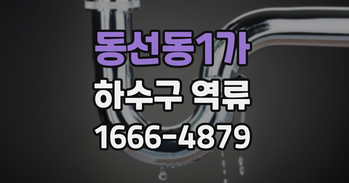 동선동1가 하수구 역류
