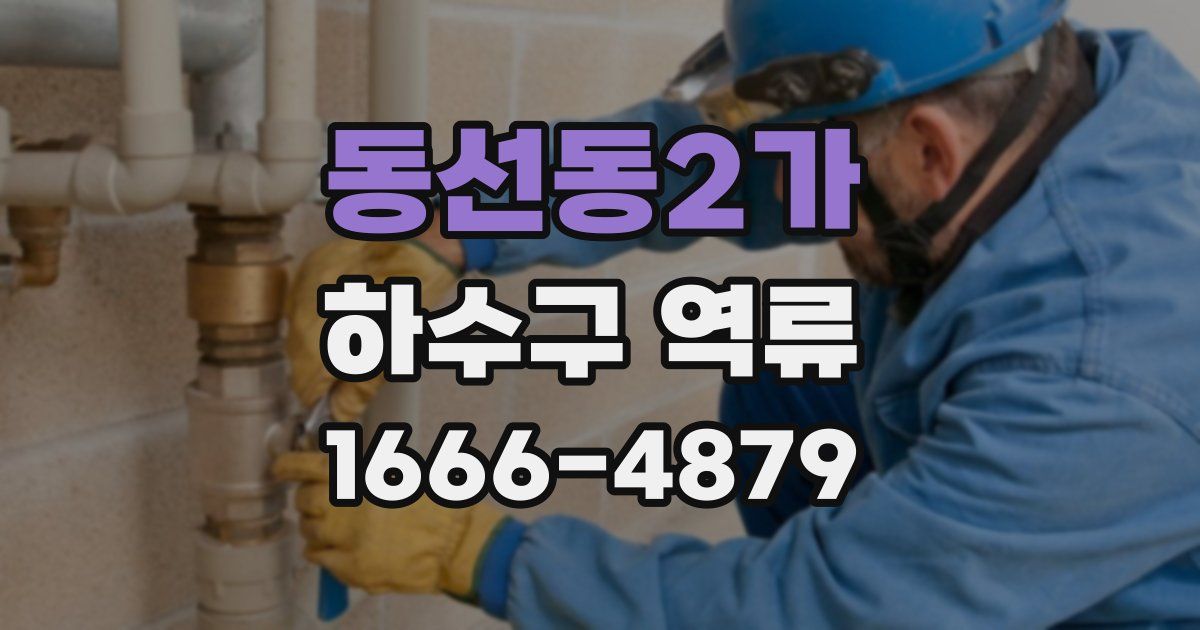동선동2가 하수구 역류