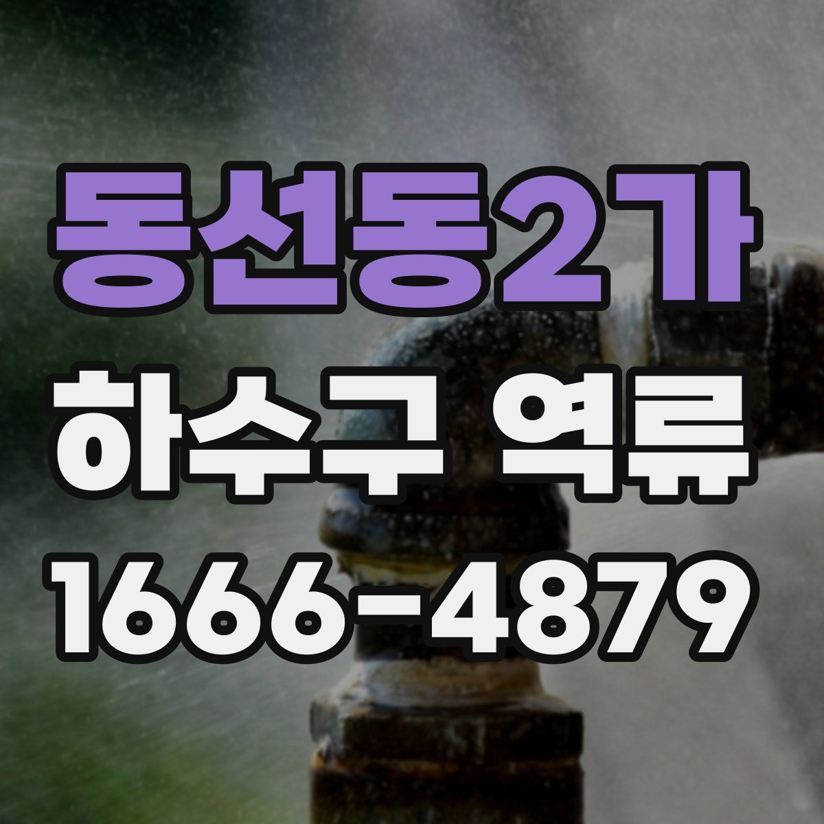 동선동2가 하수구 역류