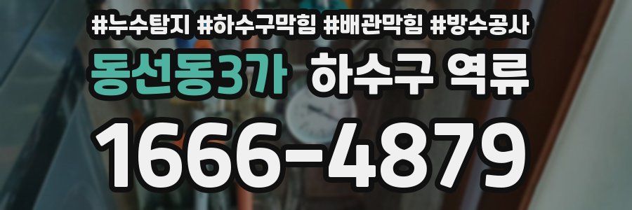 동선동3가 하수구 역류