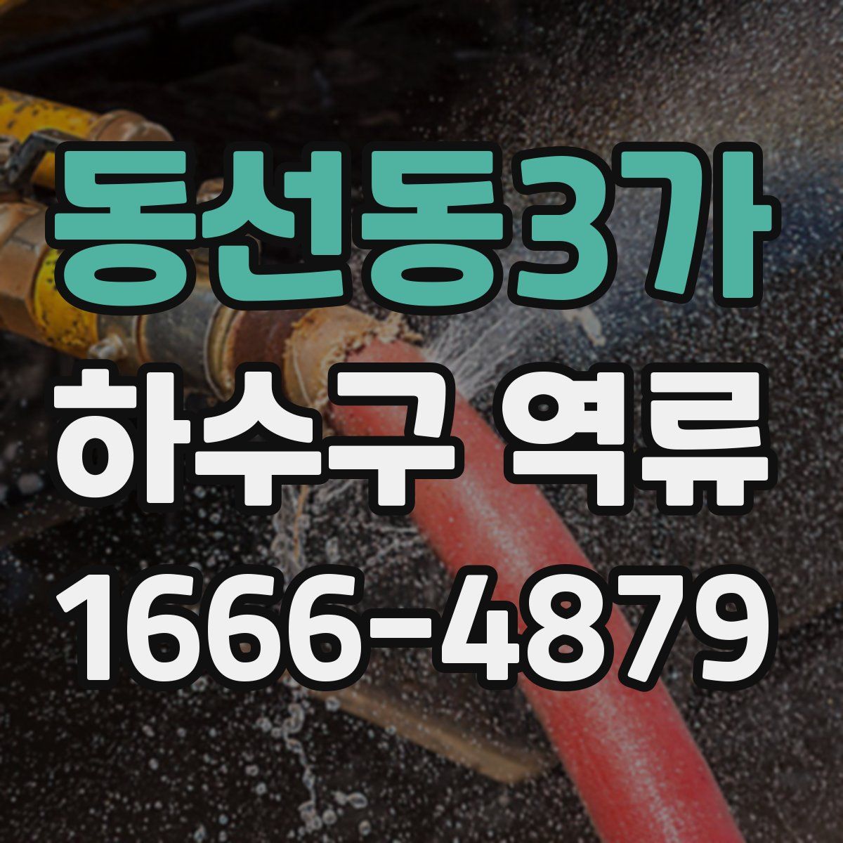 동선동3가 하수구 역류