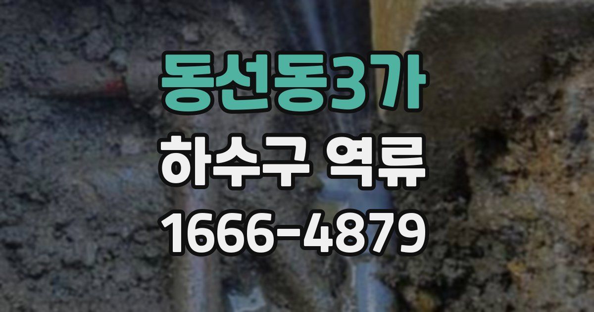 동선동3가 하수구 역류