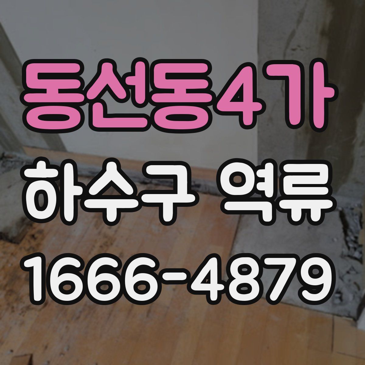 동선동4가 하수구 역류