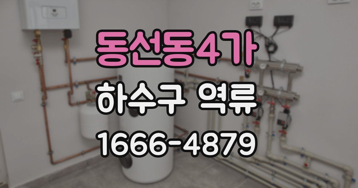 동선동4가 하수구 역류
