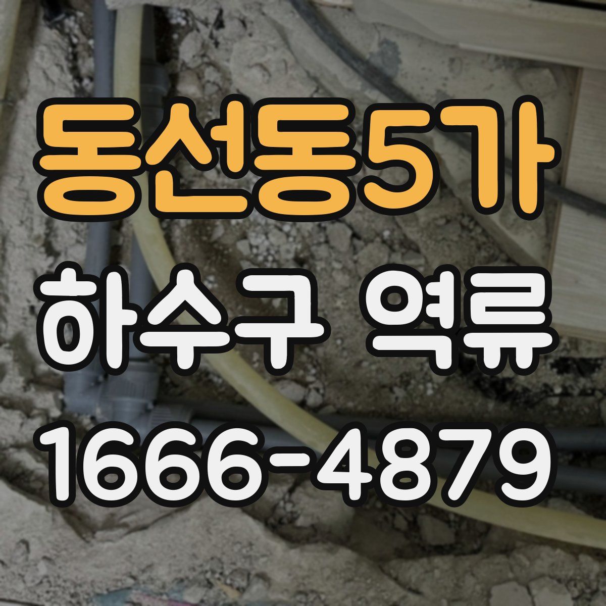 동선동5가 하수구 역류