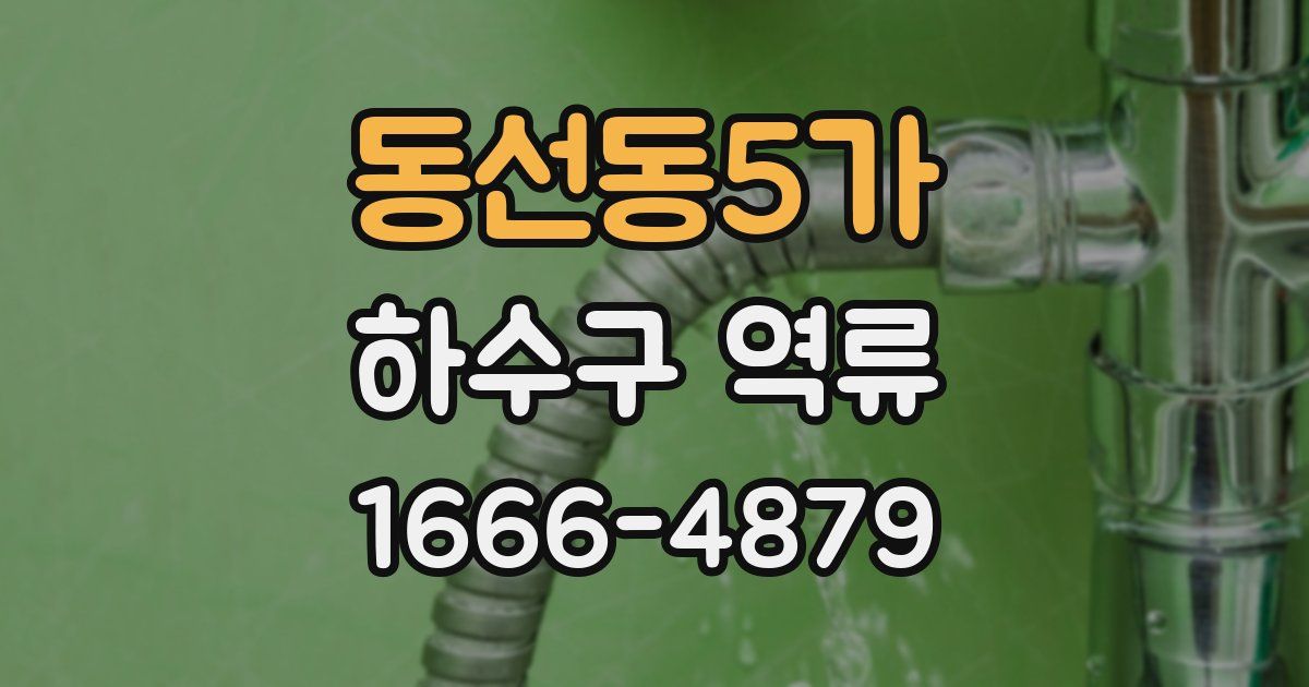 동선동5가 하수구 역류