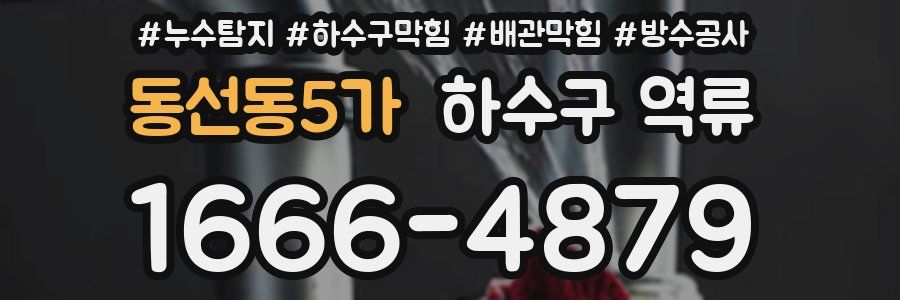 동선동5가 하수구 역류