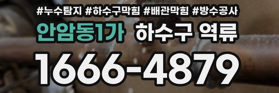안암동1가 하수구 역류