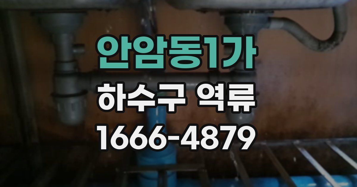 안암동1가 하수구 역류