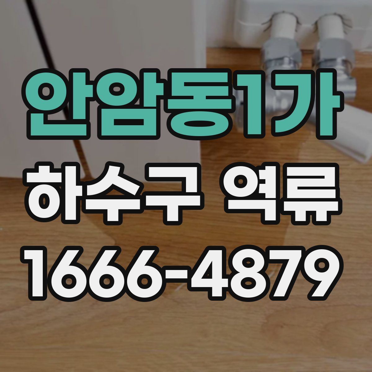 안암동1가 하수구 역류
