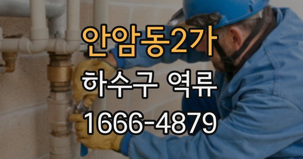 안암동2가 하수구 역류
