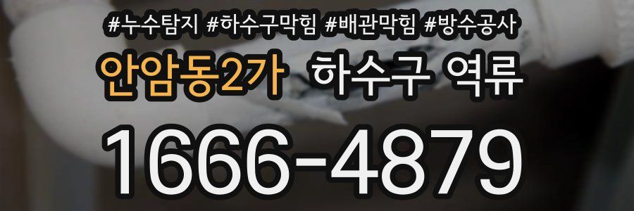 안암동2가 하수구 역류