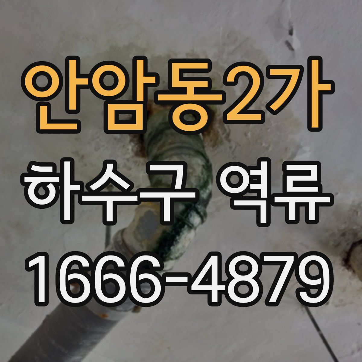 안암동2가 하수구 역류
