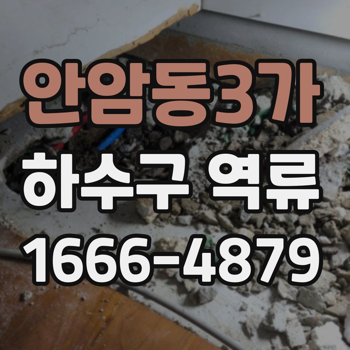 안암동3가 하수구 역류