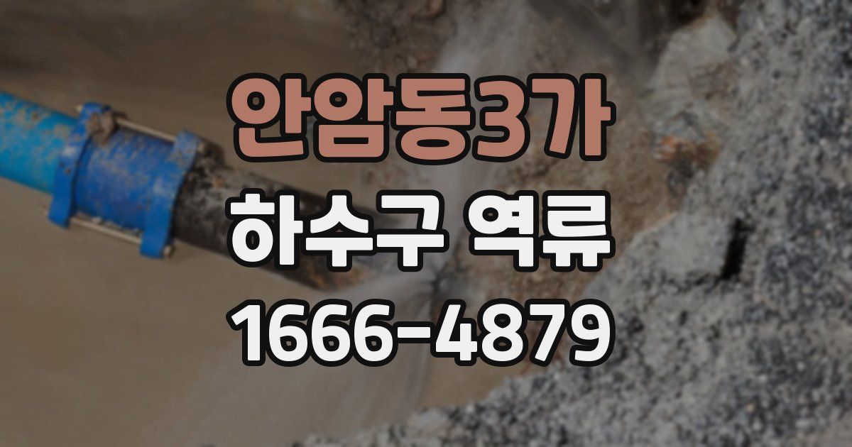 안암동3가 하수구 역류