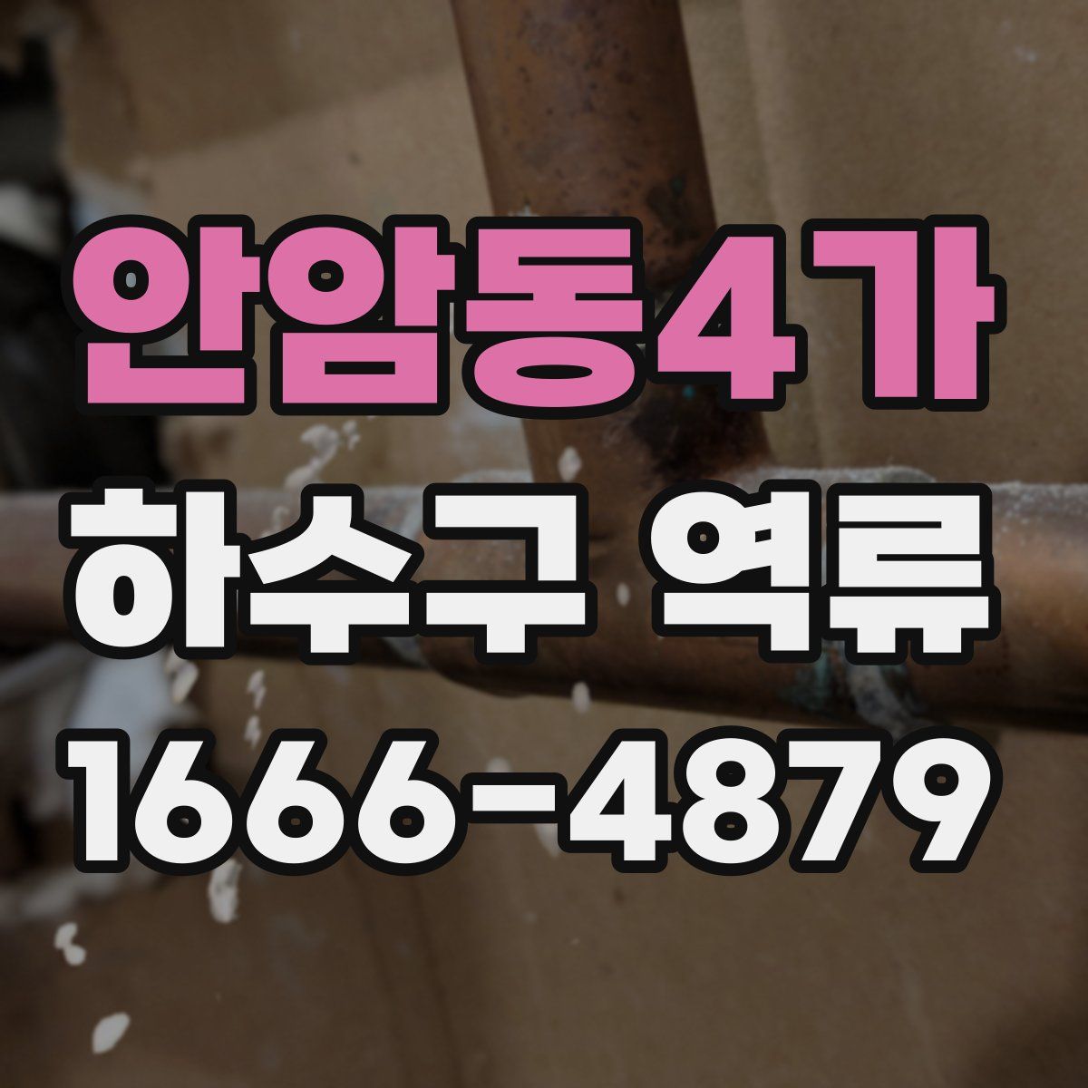 안암동4가 하수구 역류