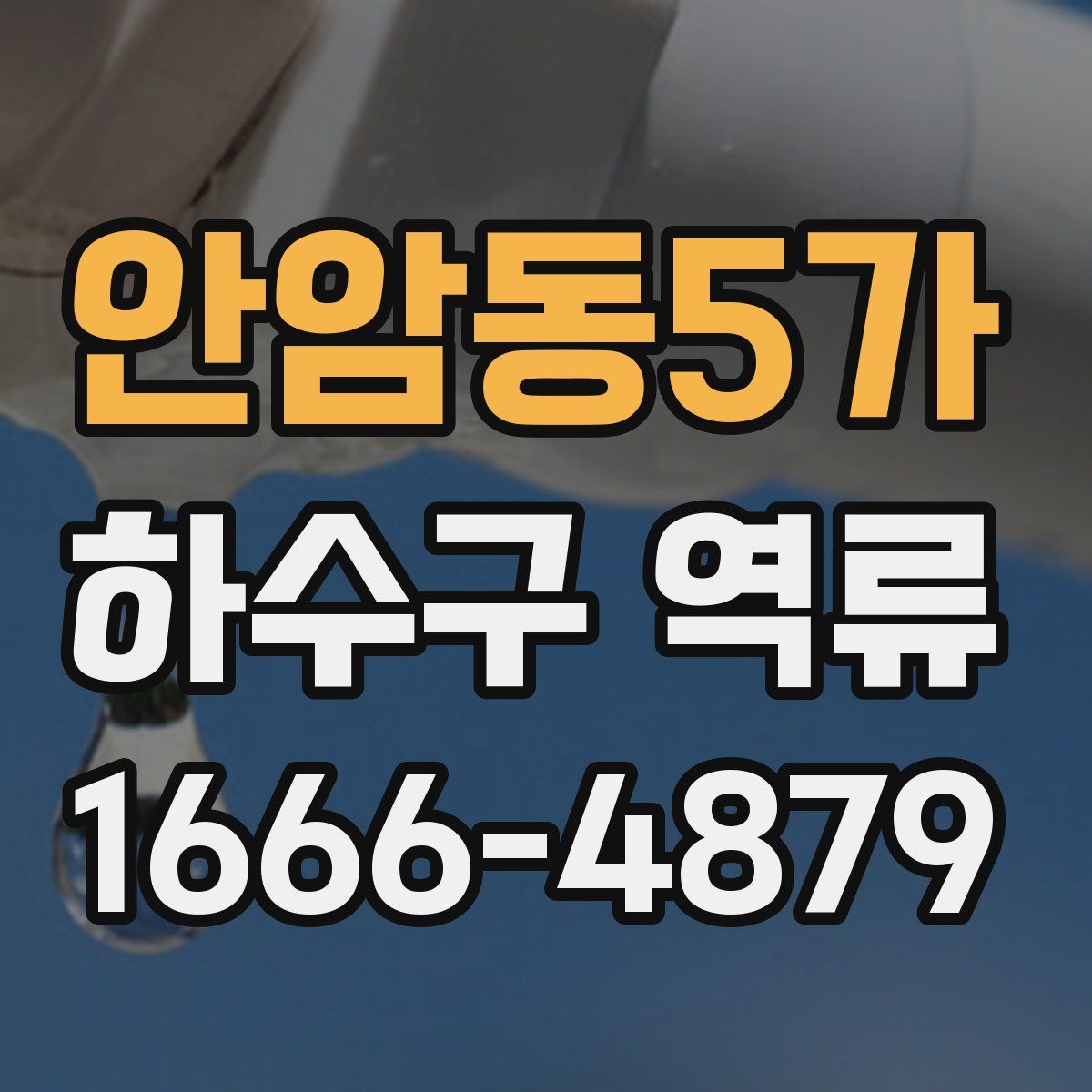 안암동5가 하수구 역류