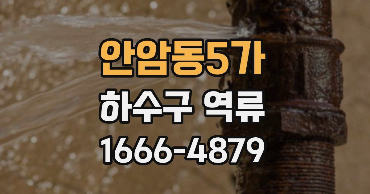 안암동5가 하수구 역류