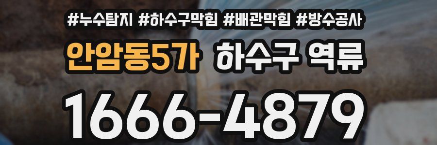 안암동5가 하수구 역류