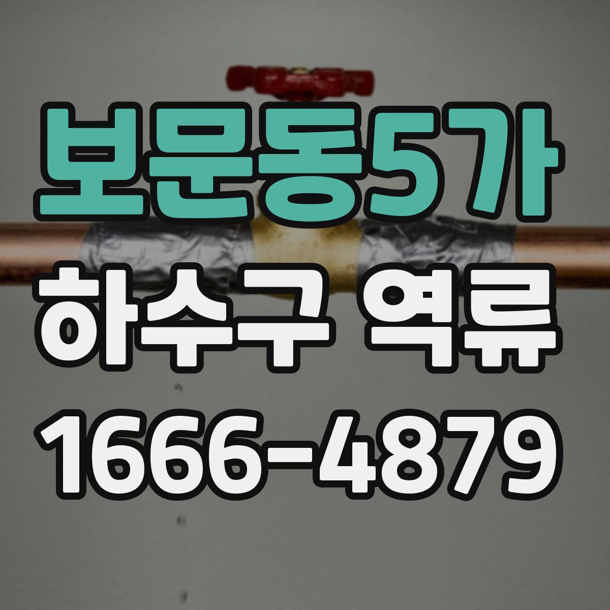 보문동5가 하수구 역류