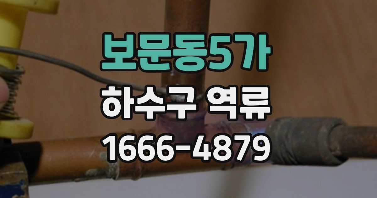 보문동5가 하수구 역류
