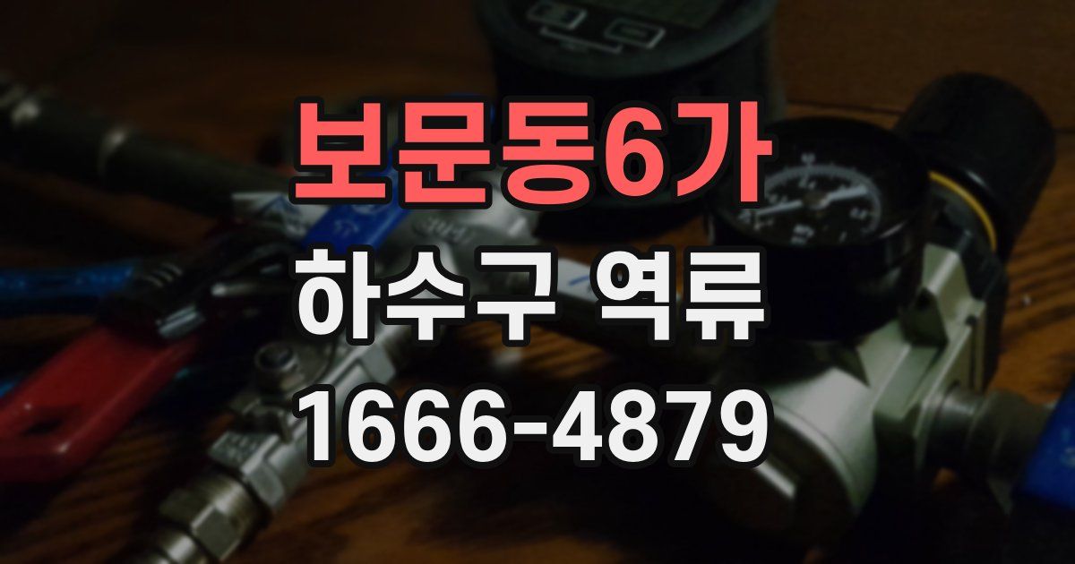 보문동6가 하수구 역류