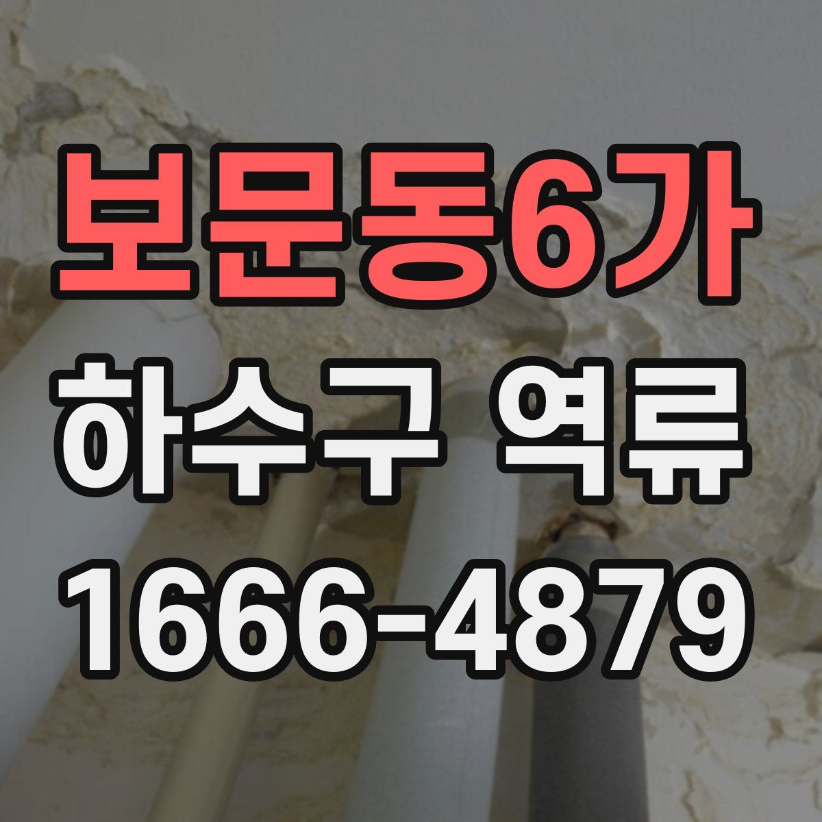 보문동6가 하수구 역류