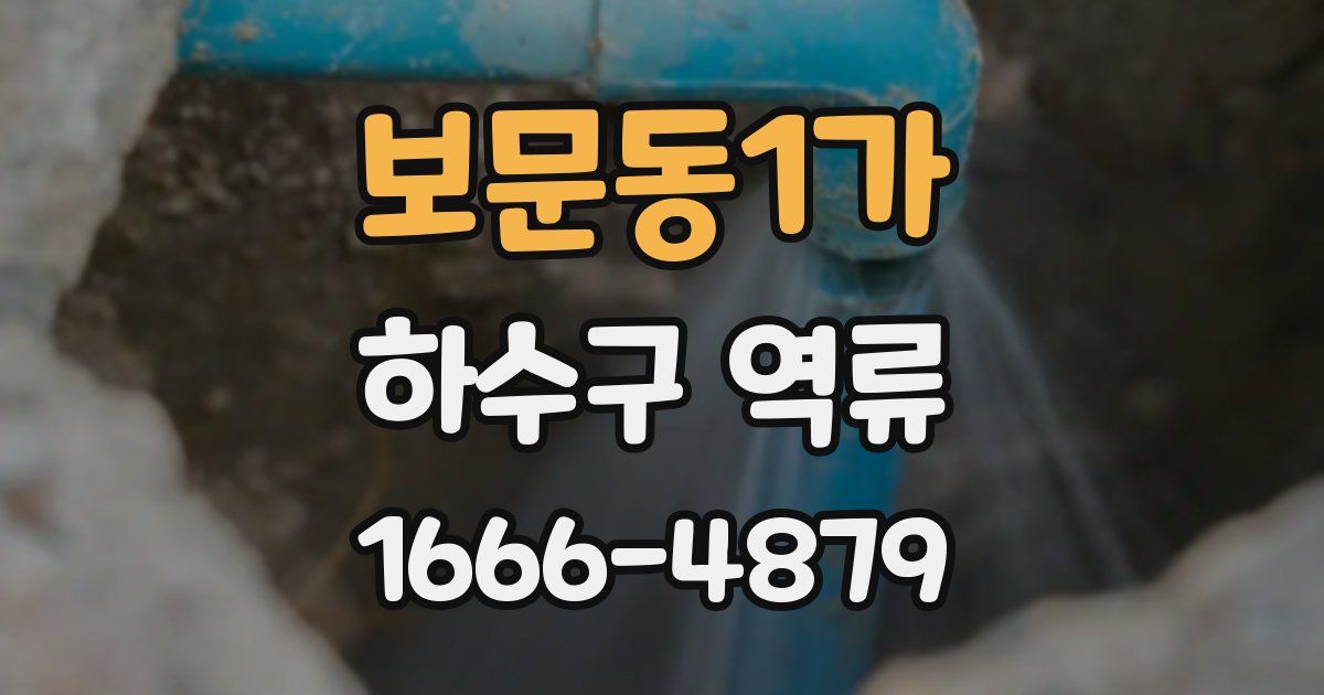 보문동1가 하수구 역류