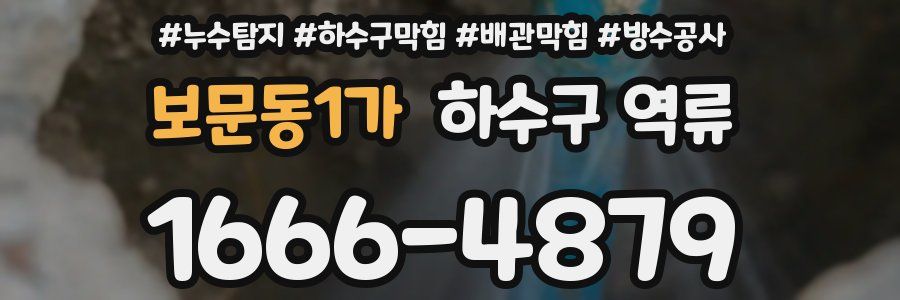 보문동1가 하수구 역류
