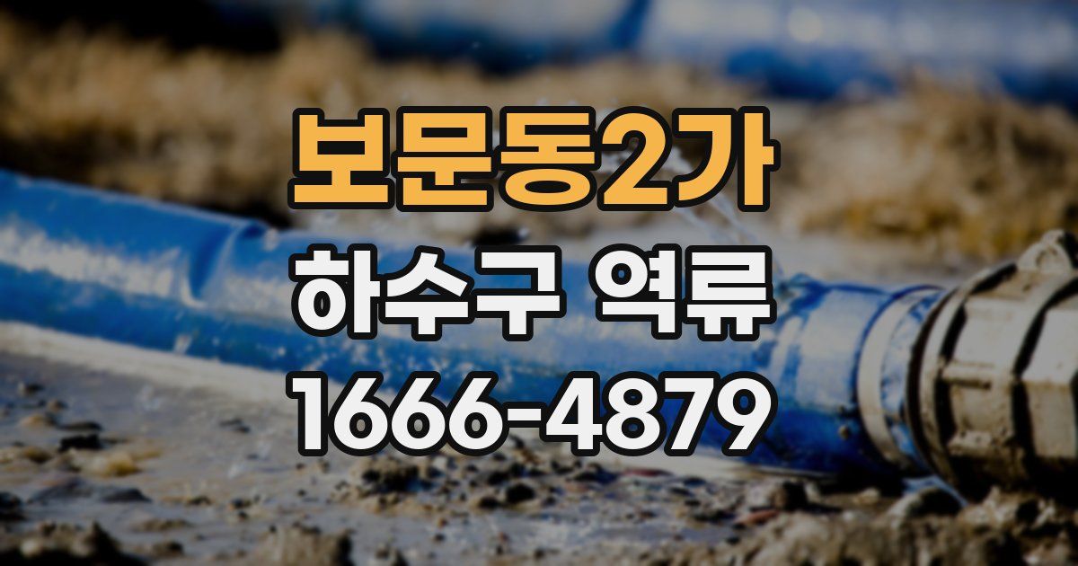 보문동2가 하수구 역류