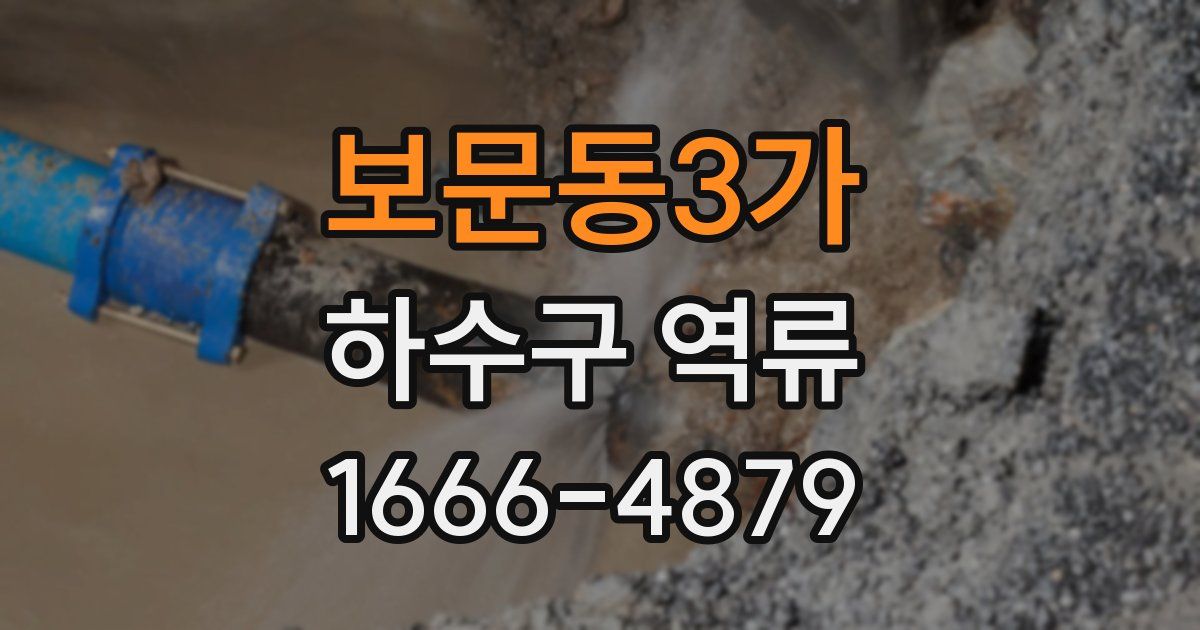 보문동3가 하수구 역류