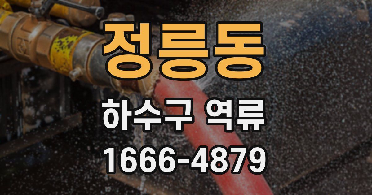 정릉동 하수구 역류