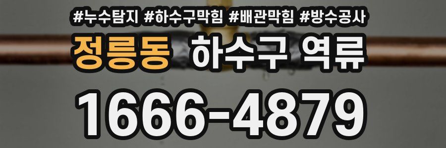 정릉동 하수구 역류