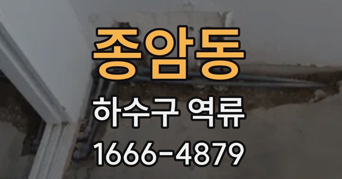종암동 하수구 역류