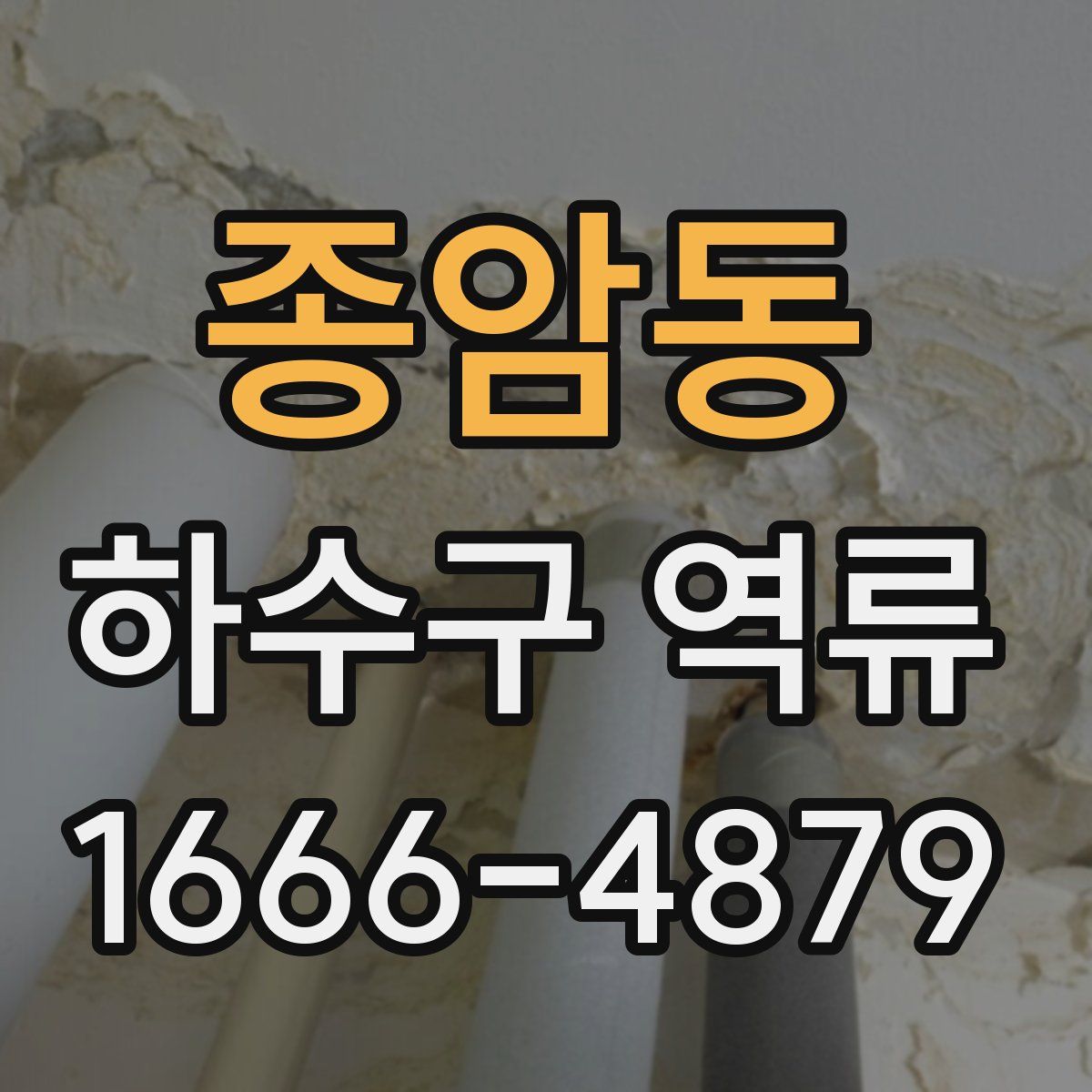 종암동 하수구 역류
