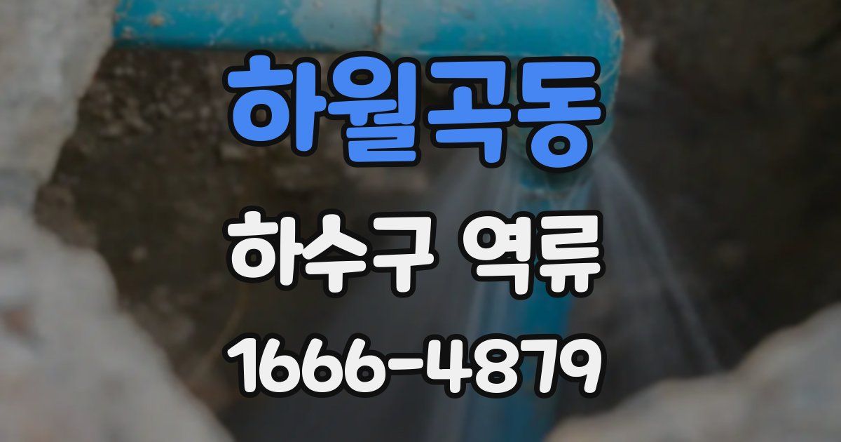 하월곡동 하수구 역류