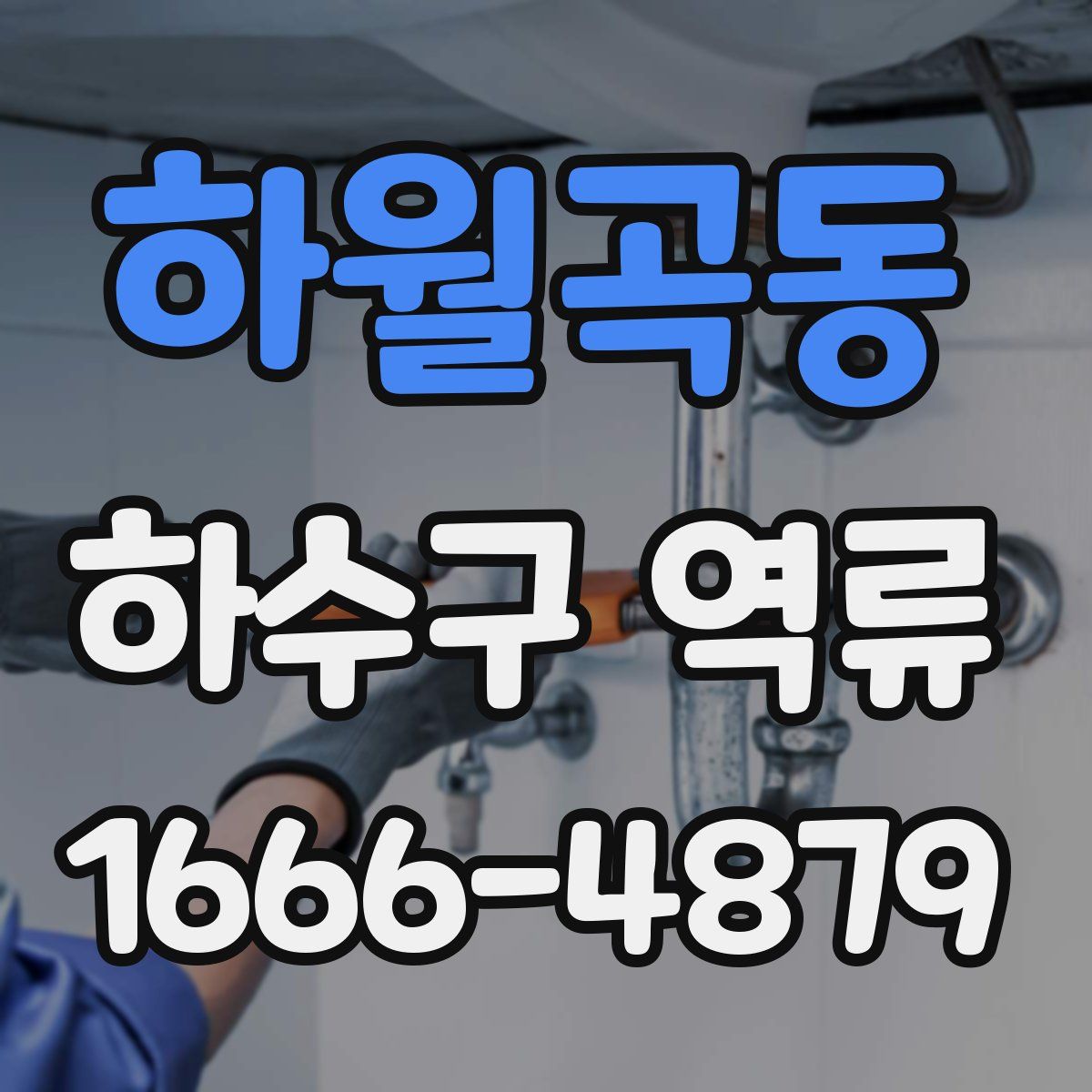 하월곡동 하수구 역류