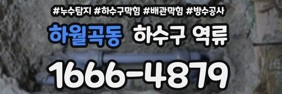 하월곡동 하수구 역류