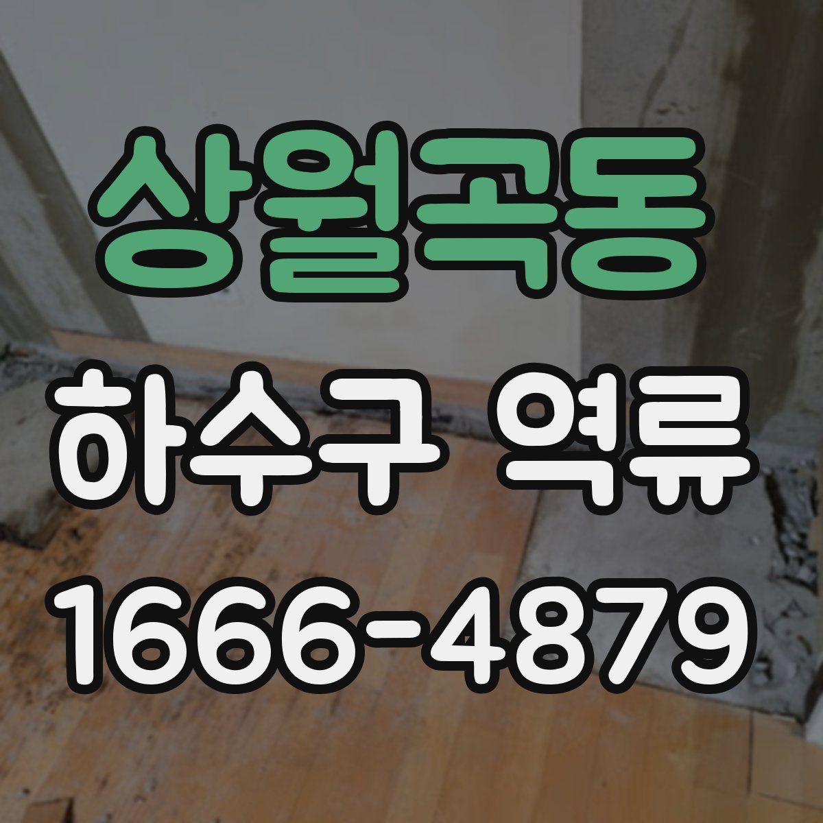 상월곡동 하수구 역류