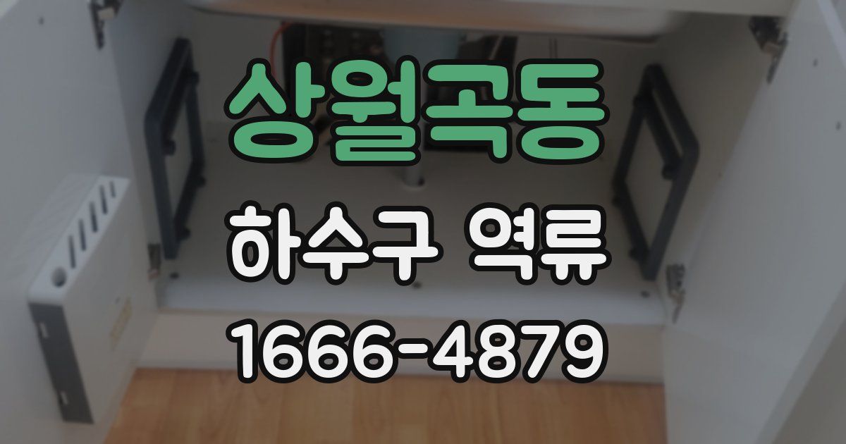 상월곡동 하수구 역류