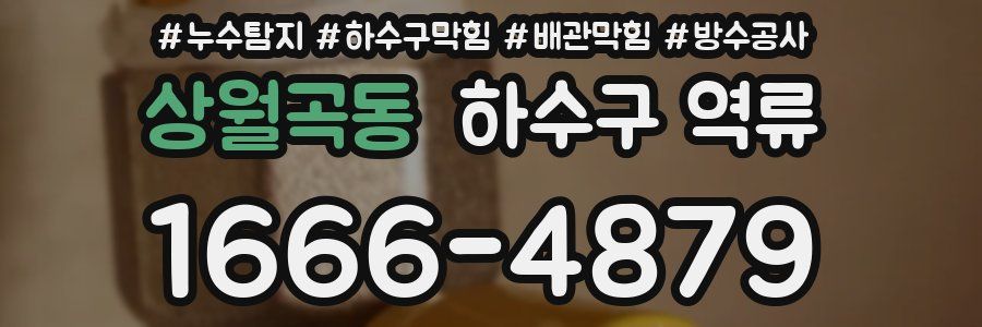 상월곡동 하수구 역류