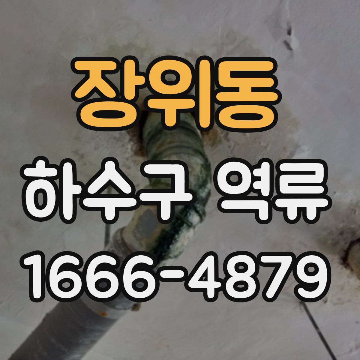 장위동 하수구 역류