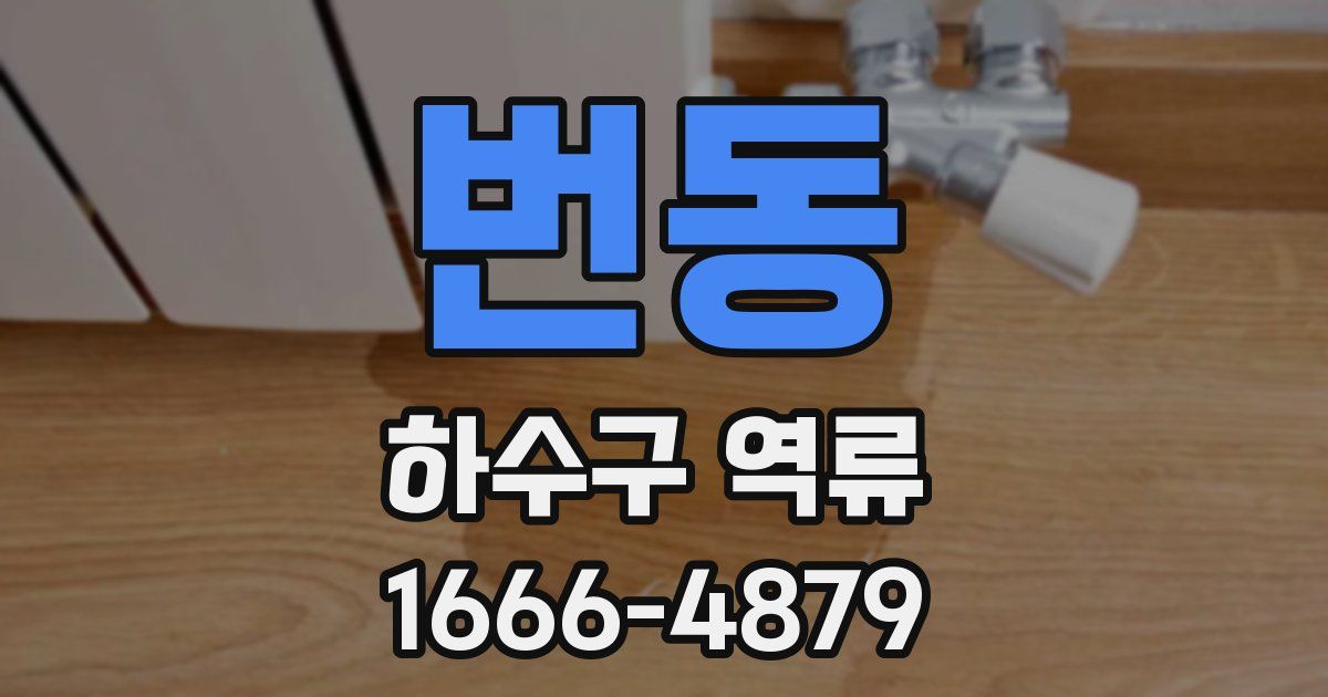 번동 하수구 역류