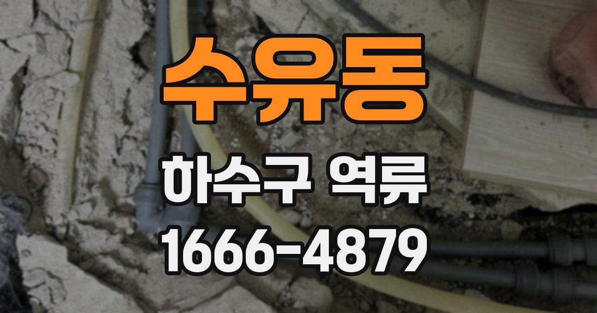 수유동 하수구 역류