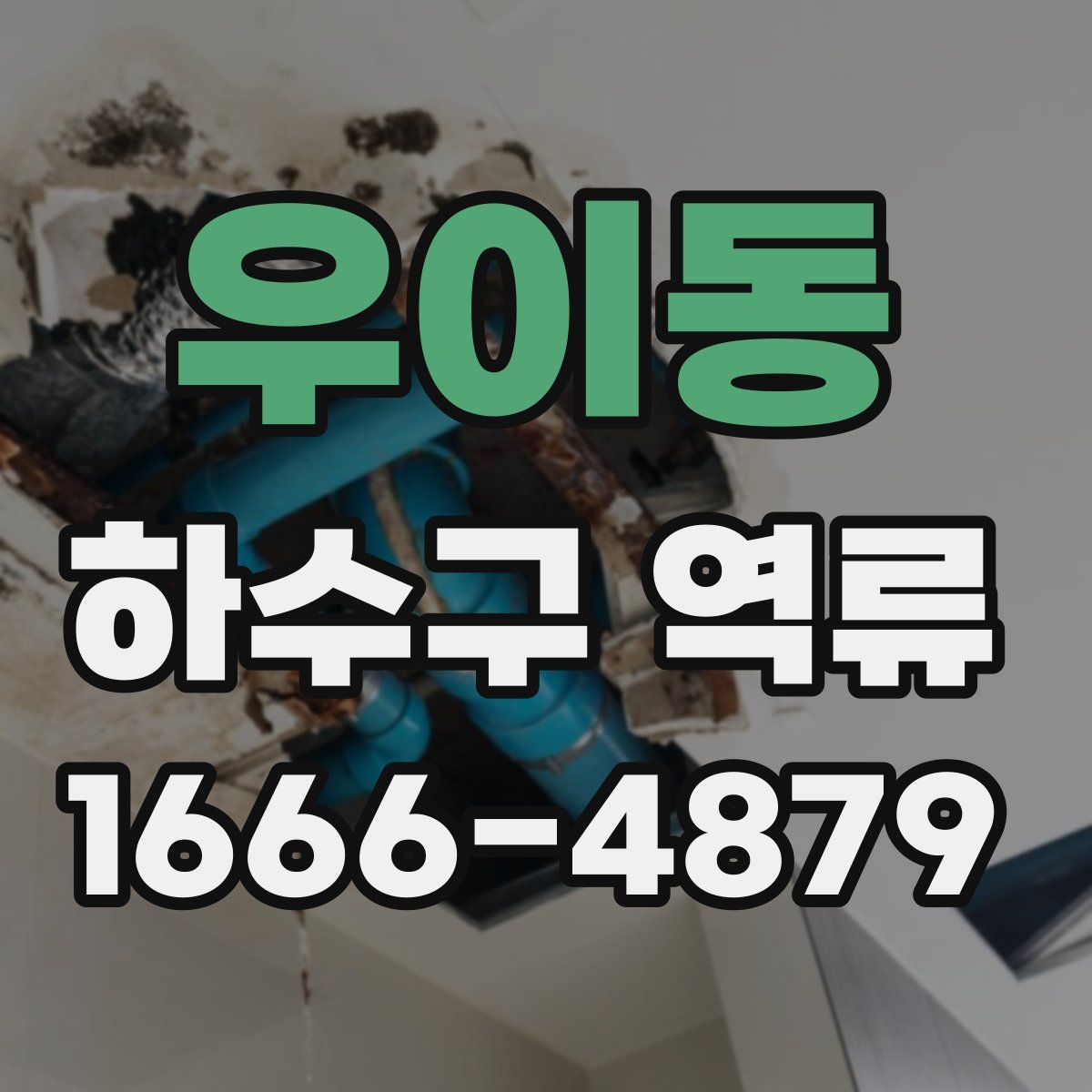 우이동 하수구 역류