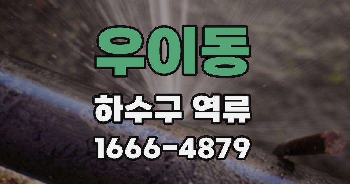 우이동 하수구 역류